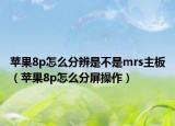 苹果8p怎么分辨是不是mrs主板（苹果8p怎么分屏操作）