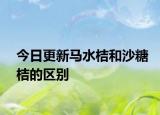 今日更新马水桔和沙糖桔的区别