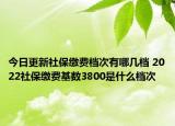 今日更新社保缴费档次有哪几档 2022社保缴费基数3800是什么档次