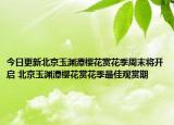 今日更新北京玉渊潭樱花赏花季周末将开启 北京玉渊潭樱花赏花季最佳观赏期