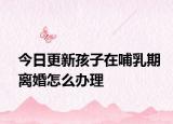 今日更新孩子在哺乳期离婚怎么办理