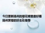 今日更新扬州的樱花哪里最好看 扬州赏樱的好去处推荐