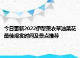 今日更新2022伊犁薰衣草油菜花最佳观赏时间及景点推荐