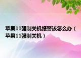 苹果11强制关机报警该怎么办（苹果11强制关机）