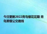 今日更新2022青岛樱花花期 青岛赏樱公交路线