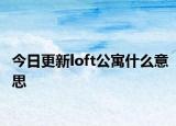 今日更新loft公寓什么意思