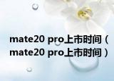 mate20 pro上市时间（mate20 pro上市时间）