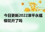 今日更新2022漳平永福樱花开了吗