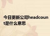 今日更新公司headcount是什么意思