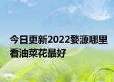 今日更新2022婺源哪里看油菜花最好