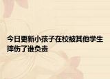 今日更新小孩子在校被其他学生摔伤了谁负责