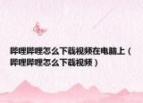 哔哩哔哩怎么下载视频在电脑上（哔哩哔哩怎么下载视频）