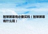 智慧屏幕有必要买吗（智慧屏幕有什么用）