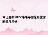 今日更新2022鸡鸣寺樱花开放时间是几月份