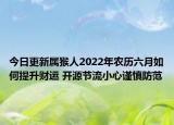 今日更新属猴人2022年农历六月如何提升财运 开源节流小心谨慎防范