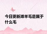 今日更新滩羊毛是属于什么毛