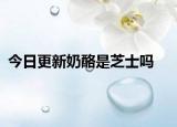 今日更新奶酪是芝士吗