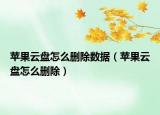 苹果云盘怎么删除数据（苹果云盘怎么删除）