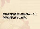 苹果使用时间怎么消除其中一个（苹果使用时间怎么查询）