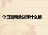 今日更新象拔蚌什么梗