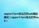 oppor17pro怎么打开usb调试模式（oppor17pro怎么打开usb）