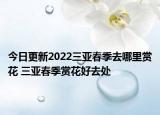 今日更新2022三亚春季去哪里赏花 三亚春季赏花好去处