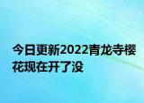 今日更新2022青龙寺樱花现在开了没