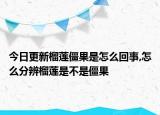 今日更新榴莲僵果是怎么回事,怎么分辨榴莲是不是僵果