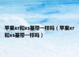 苹果xr和xs基带一样吗（苹果xr和xs基带一样吗）