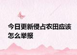 今日更新侵占农田应该怎么举报