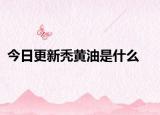 今日更新秃黄油是什么