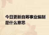 今日更新自筹事业编制是什么意思