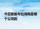 今日更新考拉海购是哪个公司的