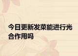 今日更新发菜能进行光合作用吗