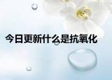 今日更新什么是抗氧化