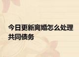 今日更新离婚怎么处理共同债务