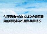 今日更新swich OLED会烧屏是真的吗玩家怎么预防烧屏情况