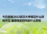 今日更新2022武汉大学樱花什么时候开花 最佳观赏时间是什么时候