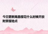 今日更新南昌樱花什么时候开放 附赏樱地点
