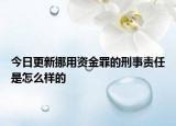 今日更新挪用资金罪的刑事责任是怎么样的