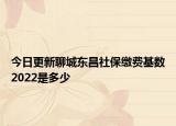 今日更新聊城东昌社保缴费基数2022是多少