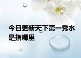 今日更新天下第一秀水是指哪里