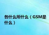 各什么所什么（GSM是什么）