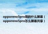 opporeno5pro用的什么屏幕（opporeno5pro怎么屏幕共享）