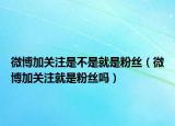 微博加关注是不是就是粉丝（微博加关注就是粉丝吗）
