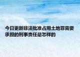 今日更新非法批准占用土地罪需要承担的刑事责任是怎样的