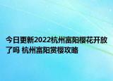 今日更新2022杭州富阳樱花开放了吗 杭州富阳赏樱攻略