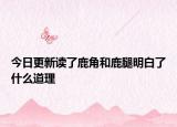 今日更新读了鹿角和鹿腿明白了什么道理