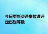 今日更新交通事故谁评定伤残等级