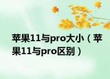 苹果11与pro大小（苹果11与pro区别）